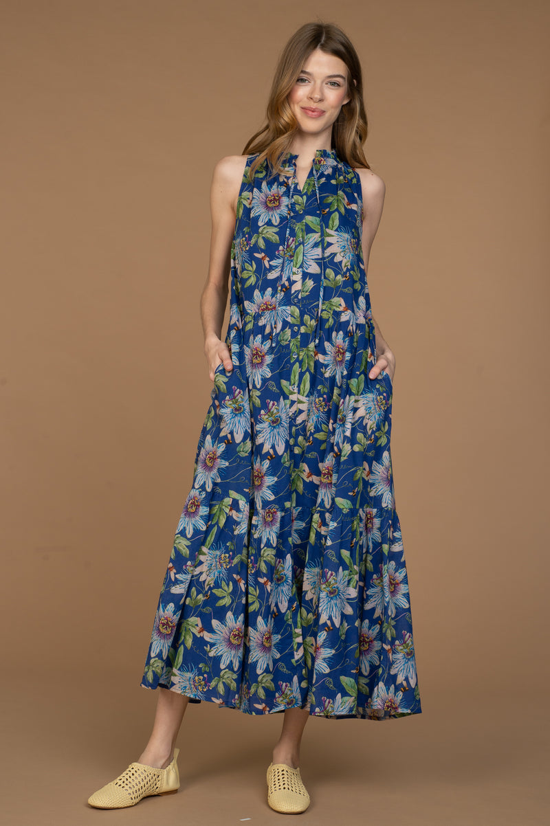 Ro Long Dress in Passion Lapis